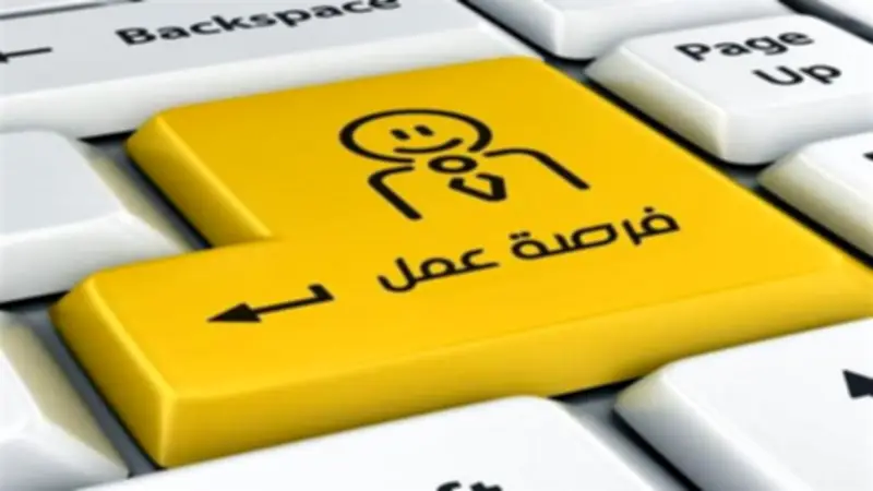 وظائف شاغرة في الأوقاف والإسعاف ونظافة القاهرة حتى 21 مايو