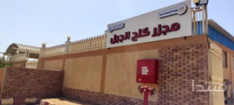 التشغيل التجريبي لمجزر كلح الجبل بأسوان بتكلفة 21 مليون جنيه