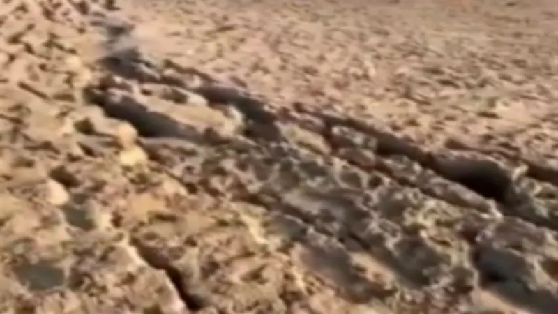 هزة أرضية شرق القاهرة بقوة 2.1 درجة دون خسائر