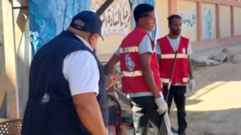 قنا: ضبط 21 كلبًا ضالًا لتطهيرها وتعقيمها وتحسينها في الشيلتر