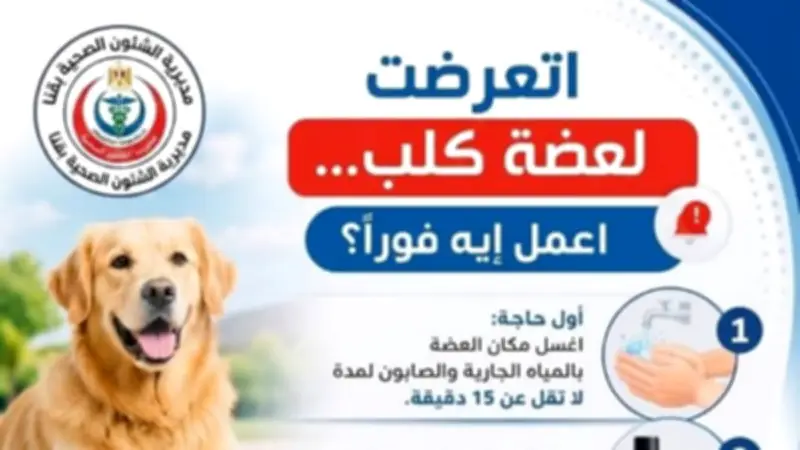 صحة قنا تخصص 22 مركزا للوقاية من السعار وتوفير المصل للمواطنين