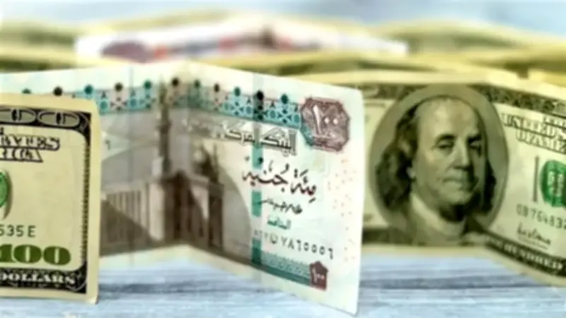 استقرار سعر الدولار مقابل الجنيه المصري اليوم السبت 23 مايو 2026