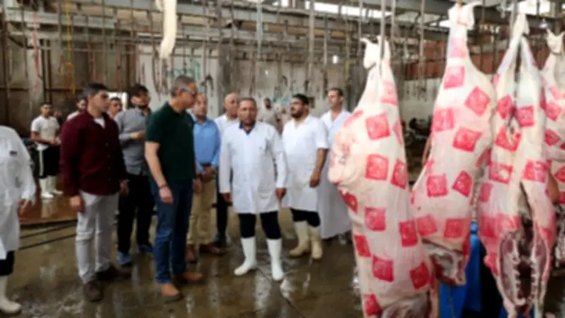 23 مجزراً جاهزاً لاستقبال المضحين في الجيزة مجاناً خلال عيد الأضحى