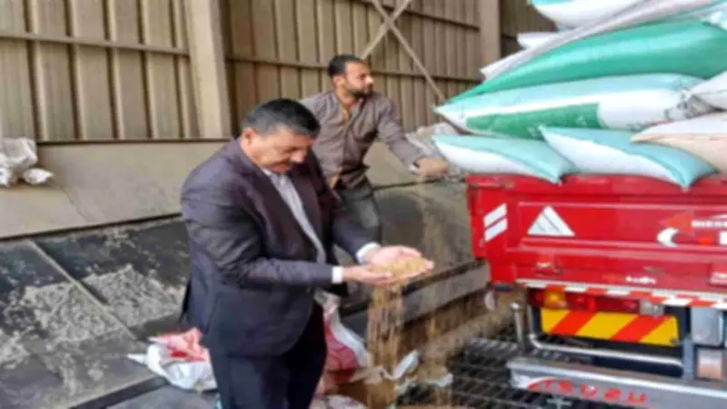 محافظ المنوفية: توريد 24 ألف طن قمح إلى الشون والصوامع حتى الآن