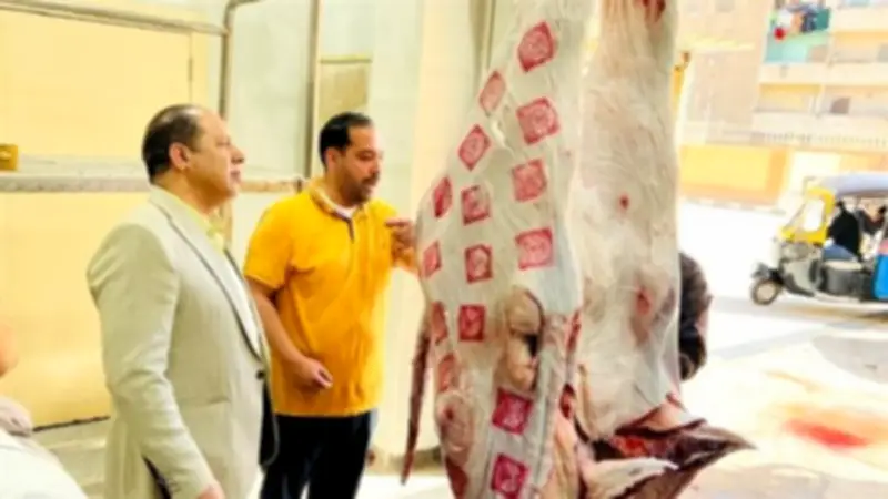 الطب البيطري بالدقهلية يستعد لعيد الأضحى بـ 24 مجزرًا جاهزًا