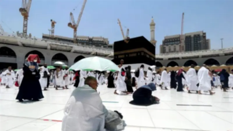 بعثة الحج السياحي: 24 لجنة ميدانية تعمل على مدار الساعة لخدمة ضيوف الرحمن