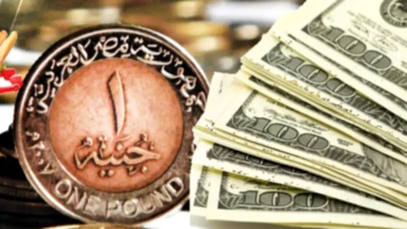 سعر الدولار اليوم في البنوك المصرية الأحد 24-5-2026.. استقرار وترقب