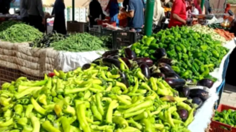 استقرار أسعار الخضروات بالوادي الجديد.. الطماطم بـ25 جنيها