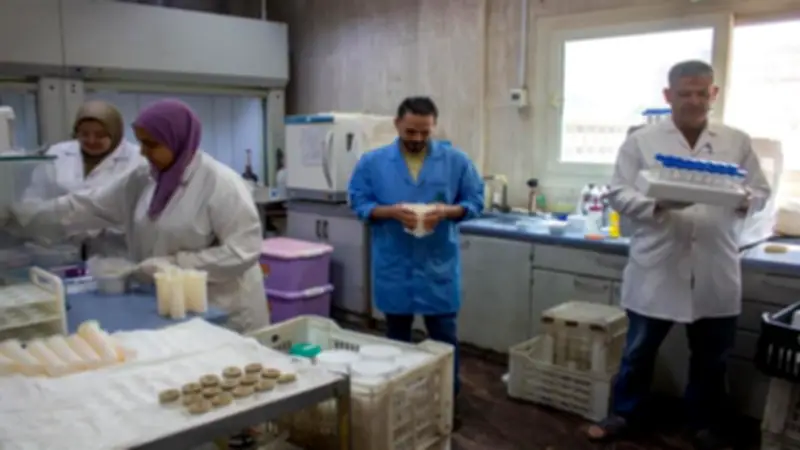 الزراعة: فحص 2500 عينة أغذية وحاصلات زراعية خلال أيام عيد الأضحى
