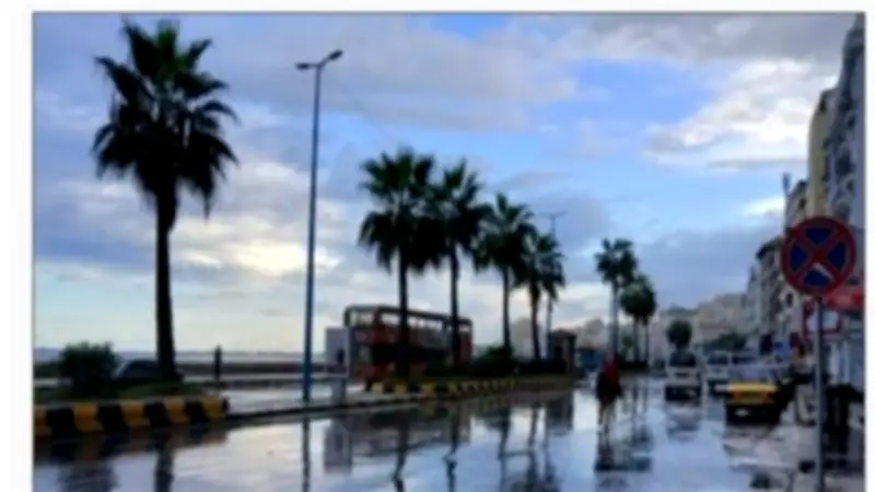 الأرصاد: عودة الأمطار على الإسكندرية وانخفاض الحرارة إلى 26 درجة