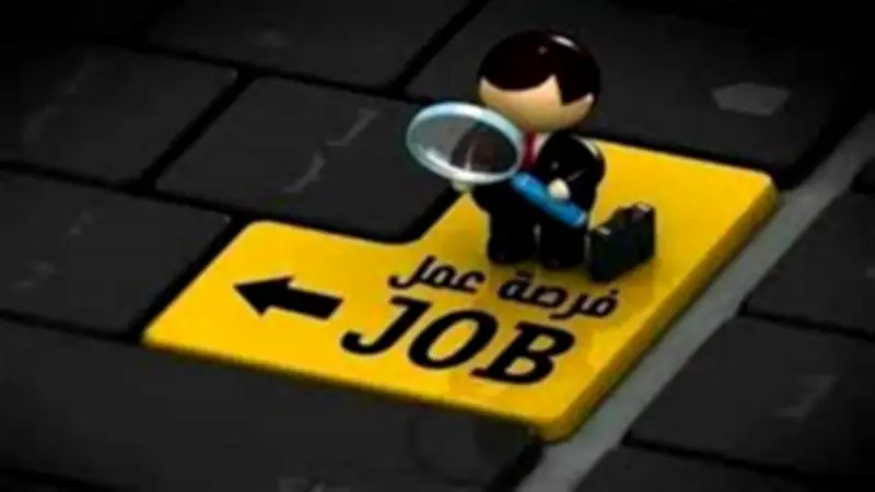 وزارة العمل توفر 2600 وظيفة جديدة في شركة مقاولات كبرى.. تعرف على طريقة التقديم