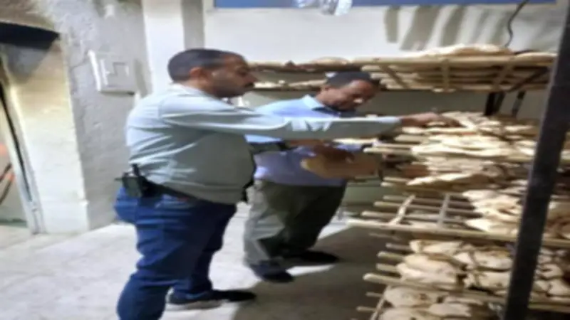 ضبط 261 مخالفة تموينية وصيدلية غير مرخصة في المنيا