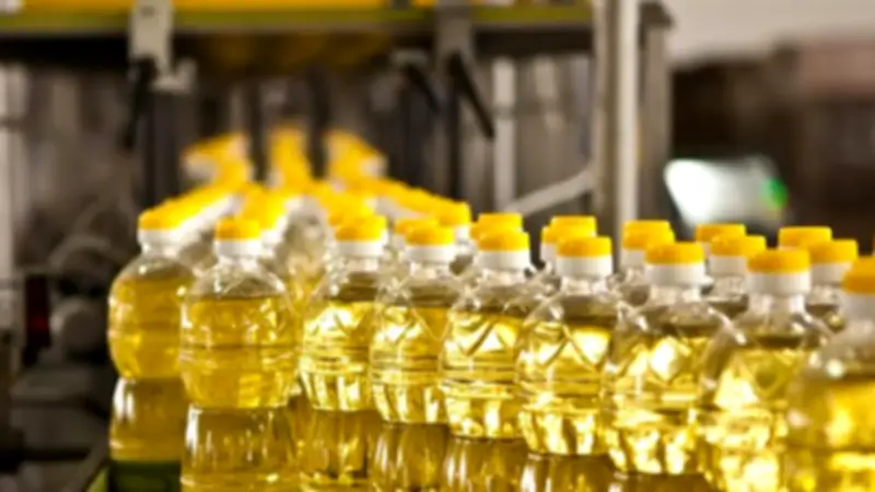أسعار الزيت اليوم الجمعة 29 مايو 2026: العباد من 60 جنيها والذرة يصل لـ140