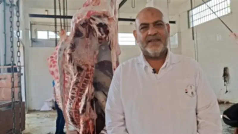 القليوبية ترفع حالة الطوارئ بـ29 مجزرًا في ثاني أيام الأضحى
