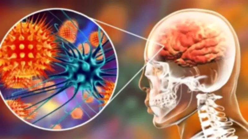 أفضل 3 أطعمة لصحة الدماغ لا تعرفها: التوت والسبانخ والقرع