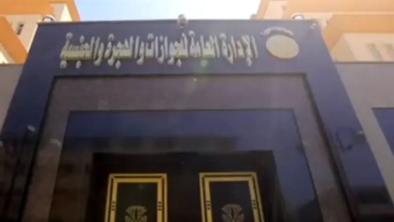 الداخلية تُصدر 3 قرارات بإبعاد أجانب خارج البلاد لأسباب تتعلق بالصالح العام
