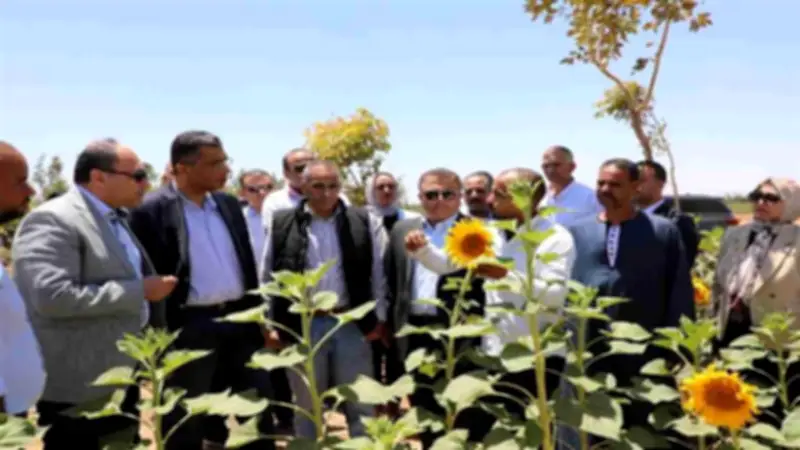 بدء المرحلة الثالثة من مشروع الجوجوبا في الغردقة على 3 آلاف فدان