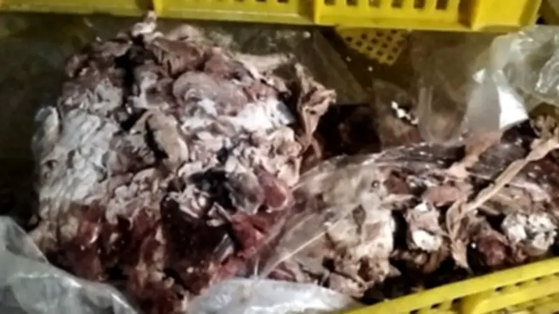 ضبط 3 أطنان لحوم ودواجن فاسدة قبل طرحها بأسواق بورسعيد