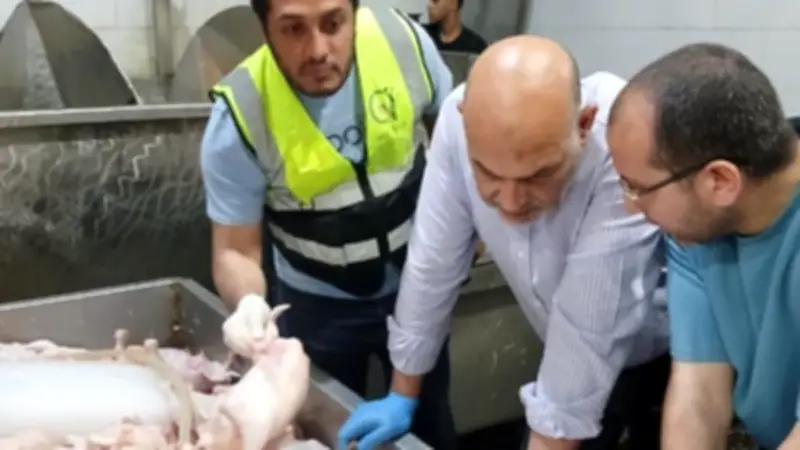 ضبط 3 أطنان دواجن فاسدة في حملة تموينية بالقليوبية