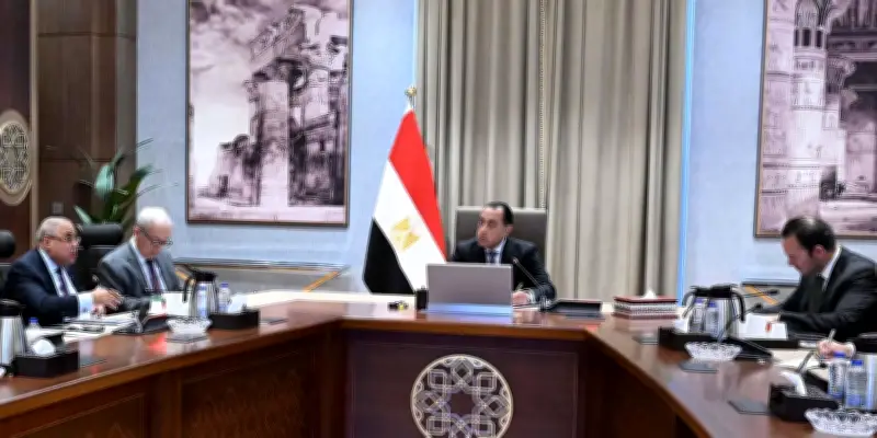 مدبولي يوجه بإعداد خطة تنفيذية دقيقة لوثيقة سياسة ملكية الدولة خلال 3 سنوات