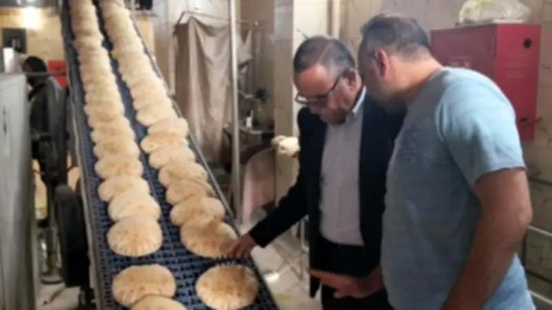 الدقهلية: ضبط 3 أطنان أعلاف ودقيق وسلع غذائية وتحرير 315 مخالفة