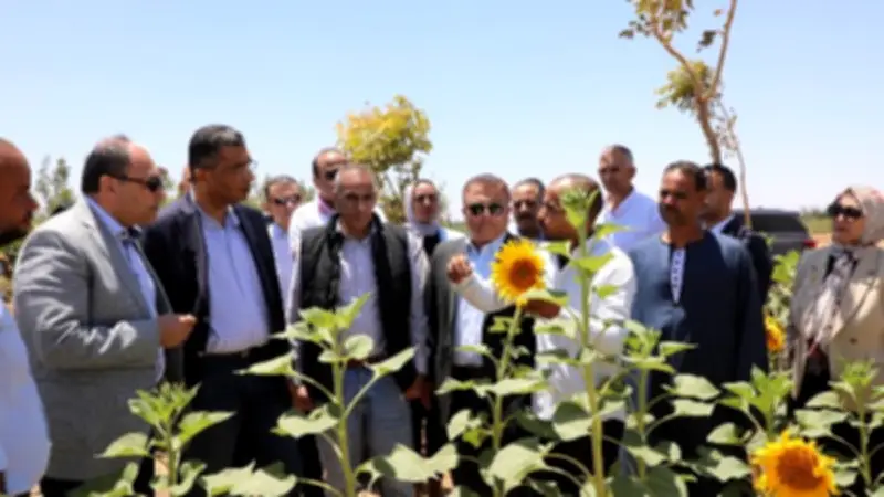 وضع حجر أساس المرحلة الثالثة لمشروع الجوجوبا بالغردقة على 3000 فدان