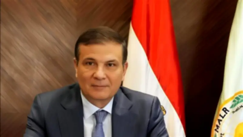الزراعة: توريد 3.2 مليون طن قمح محلي بنسبة 64% من المستهدف