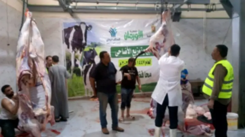 محافظ أسيوط يتابع نحر 327 رأس ماشية بالمجازر الحكومية في ثاني أيام العيد