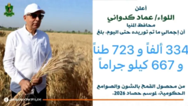 توريد 334 ألف طن قمح منذ بداية موسم الحصاد 2026 بالمنيا