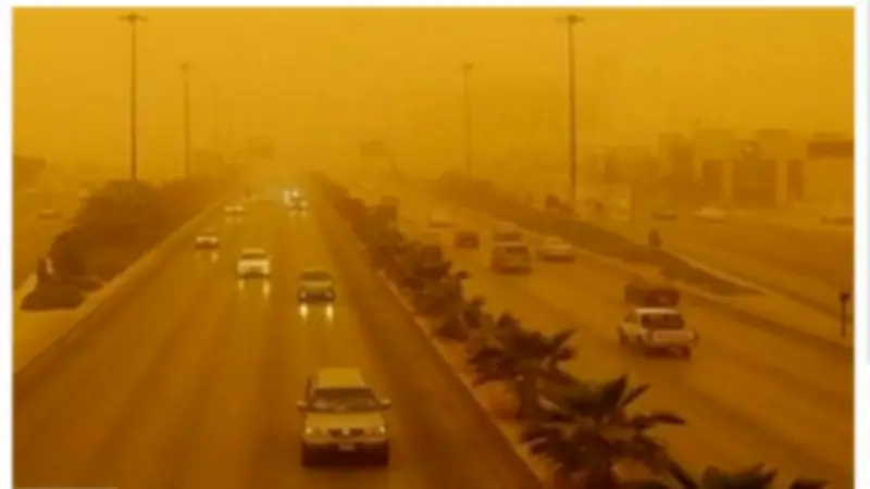 طقس متقلب يضرب المحافظات غدا.. أمطار وشبورة ورياح بسرعة 35 كيلومترا