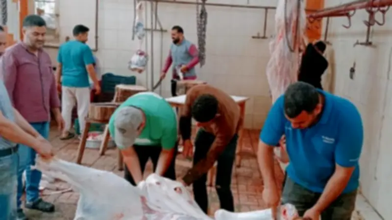 نحر 35,514 أضحية مجاناً في المجازر الحكومية بعيد الأضحى