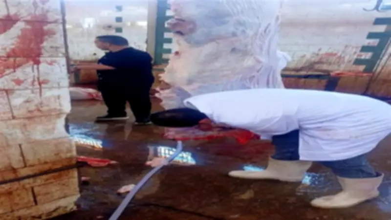 الزراعة تعلن ذبح 35.514 أضحية بالمجازر الحكومية مجاناً في عيد الأضحى