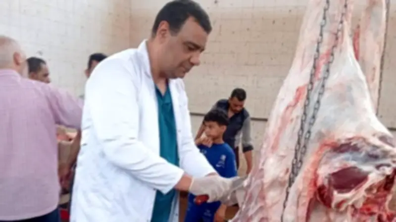 الزراعة تعلن ذبح 35,514 أضحية مجاناً بالمجازر الحكومية في عيد الأضحى
