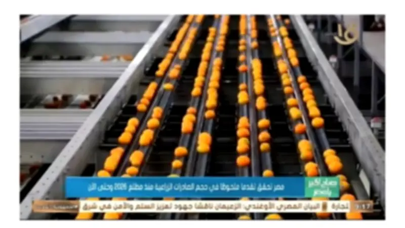 طفرة الصادرات الزراعية المصرية تتجاوز 3.7 مليون طن منذ بداية 2026