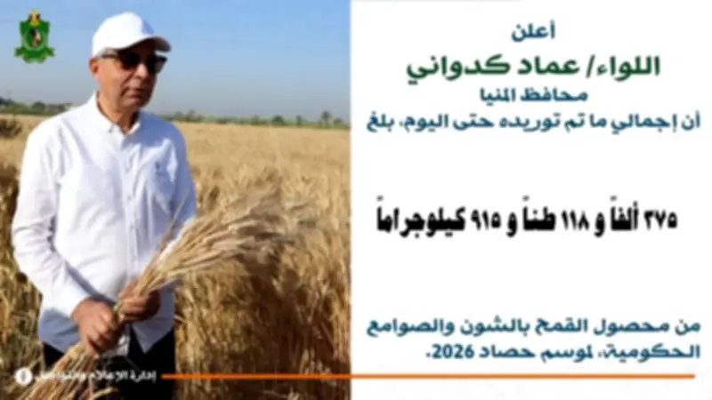 انتظام توريد الأقماح بالمنيا واستلام 375 ألف طن منذ بدء موسم الحصاد
