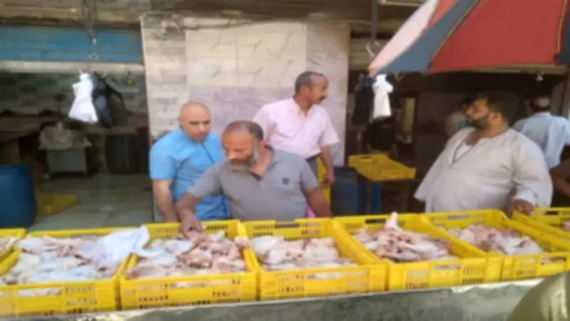 تحرير 38 مخالفة تموينية وتوزيع 4250 أسطوانة بوتاجاز بـ4 مراكز في المنيا