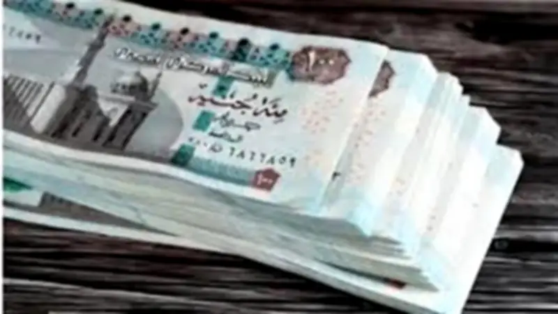 صرف مستحقات التأمينات المتأخرة لـ4 فئات خلال الأسبوع الجاري