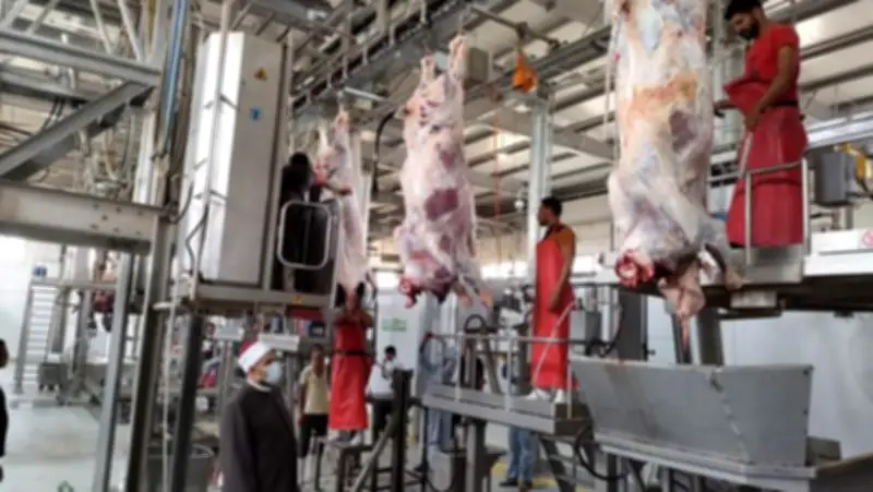 استعدادات الحكومة لعيد الأضحى: تخفيضات 40% و20 شادرًا و497 مجزرًا بالمجان