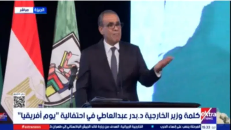 وزير الخارجية: الجامعات المصرية تقدم 40 ألف منحة للطلاب الأفارقة