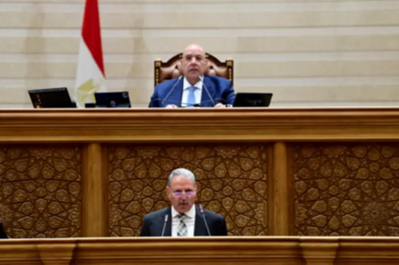 مجلس النواب يوافق على منحة 400 ألف دولار من البنك الإفريقي لمحطة أبو رواش