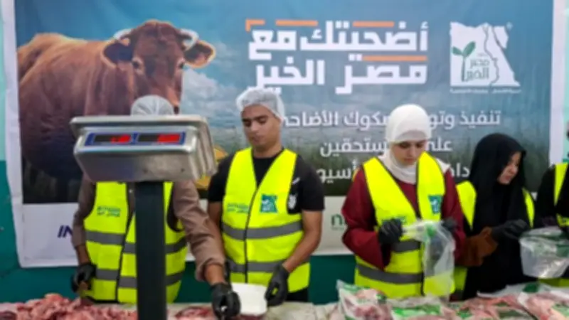 محافظ أسيوط: نحر وتوزيع لحوم 42 عجلًا في أول أيام عيد الأضحى بالتعاون مع مصر الخير والتضامن