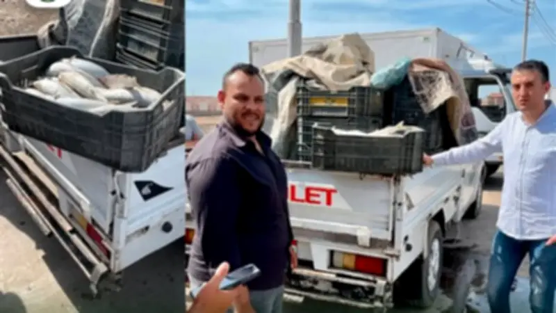 ضبط طن و425 كيلو أسماك فاسدة في بورصة الرياض بكفر الشيخ