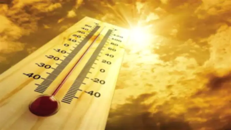 الأرصاد تحذر: ارتفاع الحرارة والرطوبة حتى 43 درجة بجنوب الصعيد