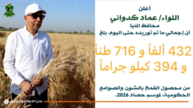 المنيا: توريد 432 ألف طن قمح منذ بداية موسم 2026