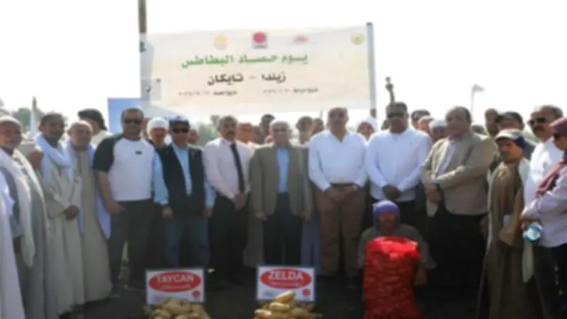 محافظ المنيا يتابع حصاد 44 ألف فدان بطاطس تصدر لـ90 دولة