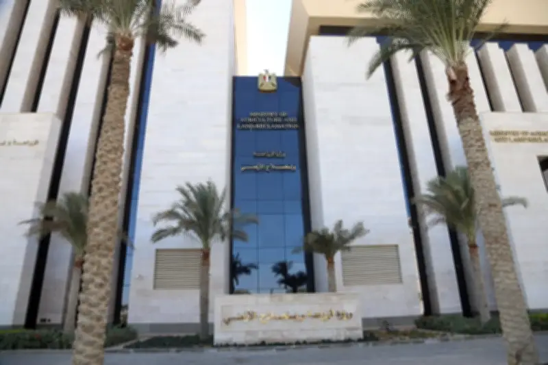 الزراعة: الإشراف على الذبح المجاني بـ497 مجزراً وتأهيل شامل للحدائق