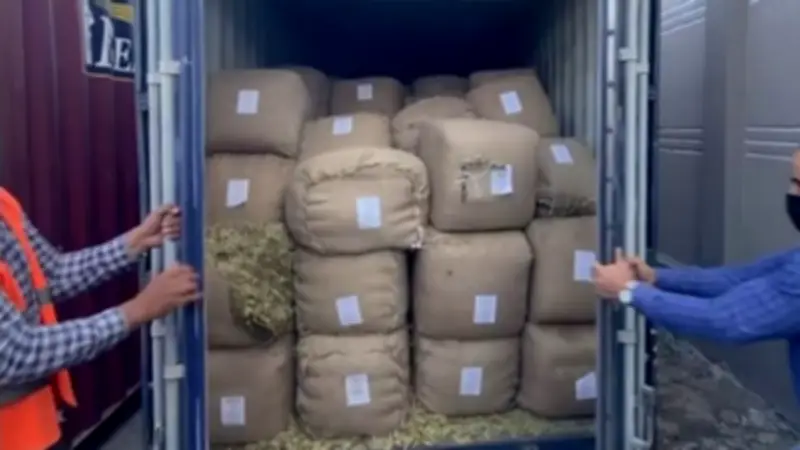 الحبس 5 سنوات وغرامة 250 ألف جنيه عقوبة تهريب البضائع بقصد الاتجار