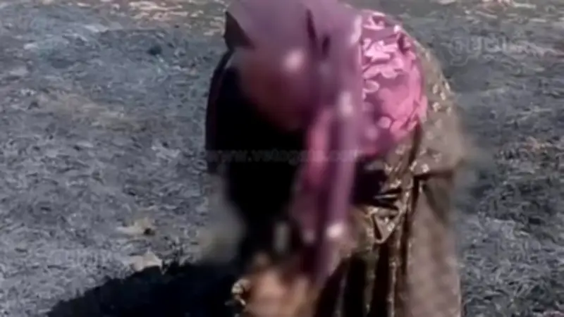 احتراق 5 أفدنة قمح بقرية النعامنة قبل الحصاد وأسرة تتكبد خسائر فادحة