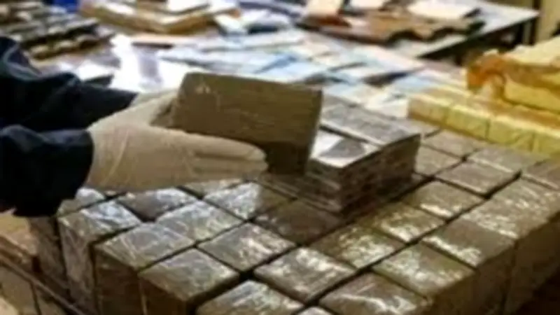 القبض على 5 متهمين بغسل 350 مليون جنيه من تجارة المخدرات