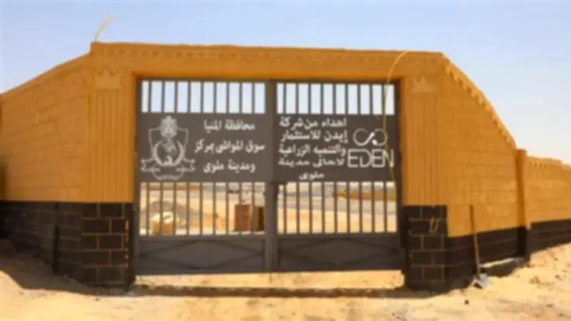 تفاصيل إنشاء أول سوق مواشي حضاري بملوي بتكلفة 5 ملايين جنيه و4 أفدنة